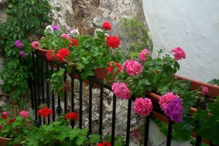 Casa Con Encanto, Escapadas Romanticas Salobreña Exteriör bild